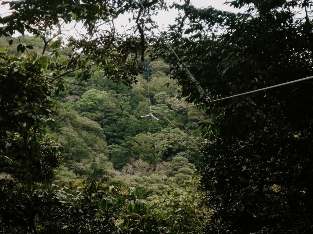 The Ultimate Costa Rican Getaway in Monteverde the Cloud Forest