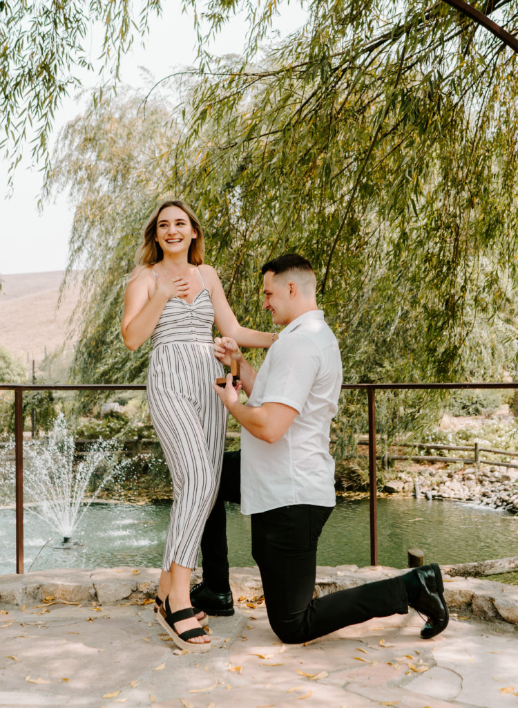 Woman being surprised by the proposal in Sunol, CA.