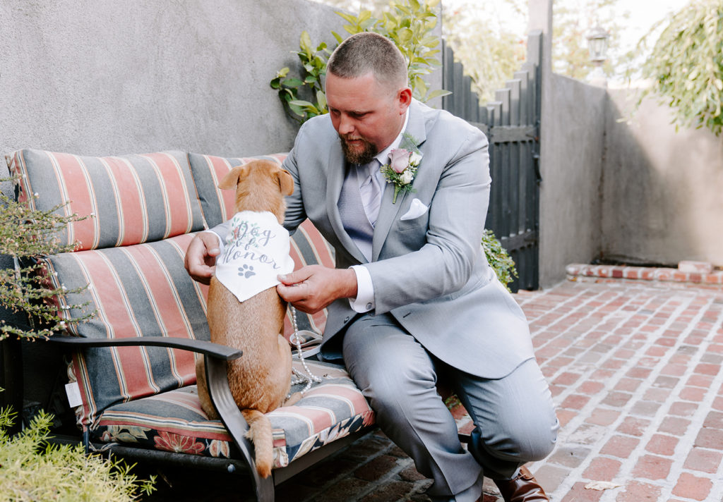Groom dressing dog for his elopement.