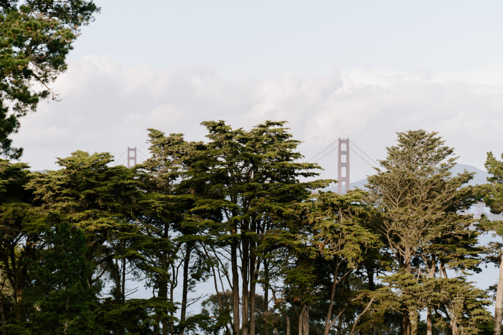 view of the golden gate bridge