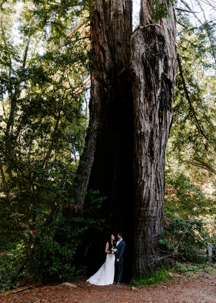 couple in redwood in big sur