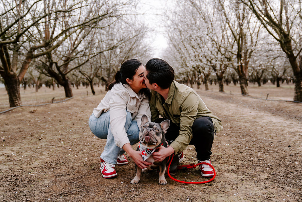 couple kissing almond blossom photoshoot