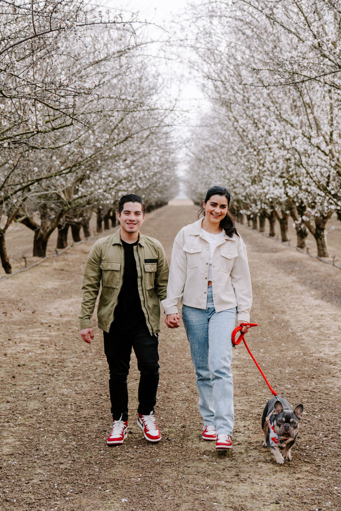 couple walking in almond blossoms
